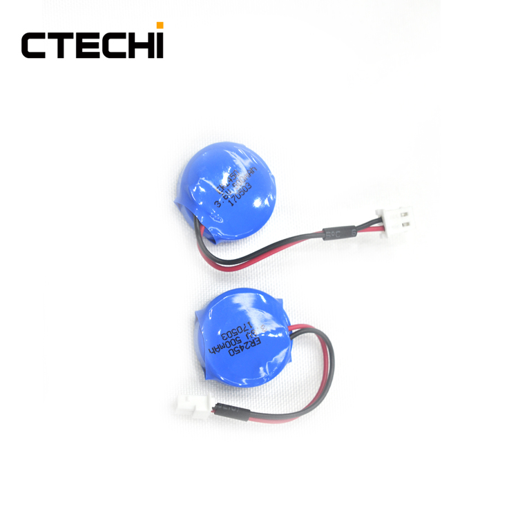 CTECHi lithium ion rechargeable battery personalized for electric toys-1