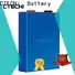 multifunctional lifepo4 battery customized for golf car