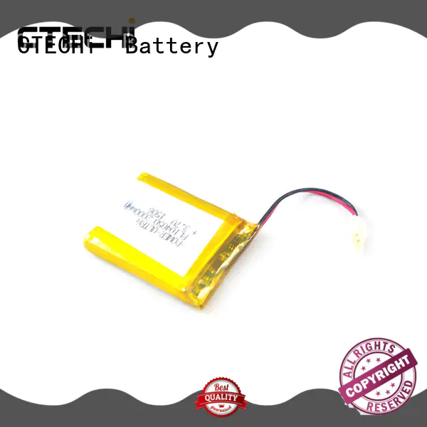 life polymer battery personalized for CTECHi